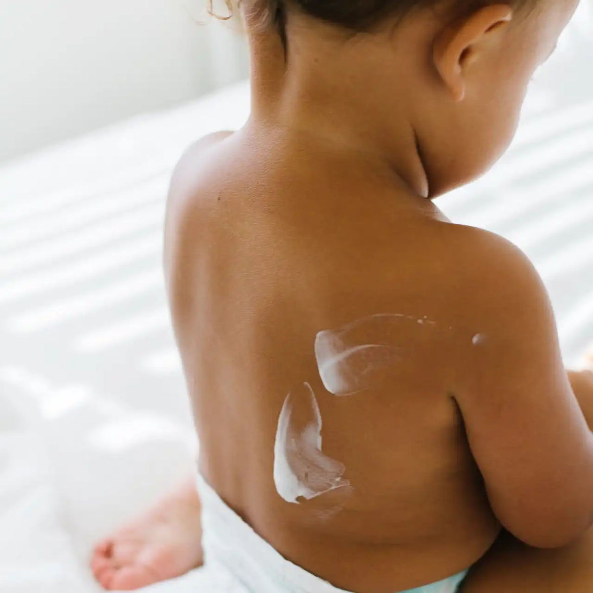 Everyday Lotion